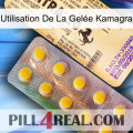 Utilisation De La Gelée Kamagra new06